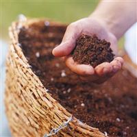 Lợi ích khi sử dụng phân bón hưu cơ