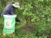 Cách sử dụng phân bón đạt hiệu quả