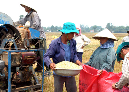 Phan bon huu co vi sinh | Phan bon huu co | Phan bon la